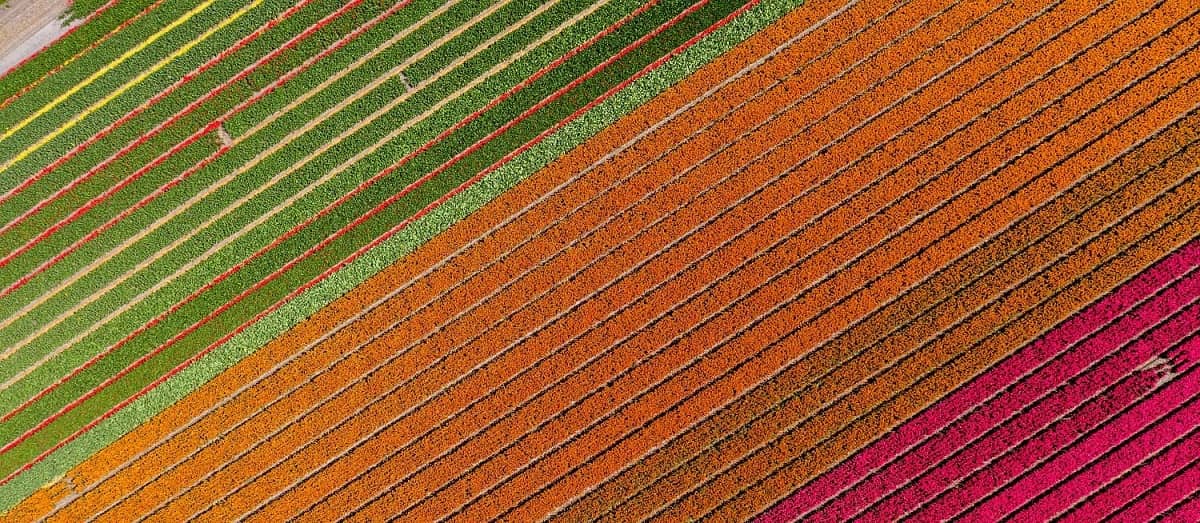 Innovative Platforms for Financial Inclusion & Business Efficiency